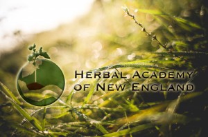 Herbal Academy of New England Logo