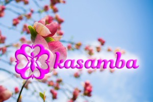 Kasamba Logo
