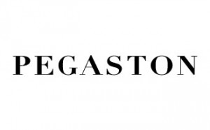 Pegaston Logo